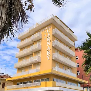 hotel-carnaby.riccione-hotels.org/